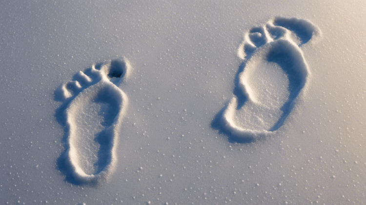 cold footprints